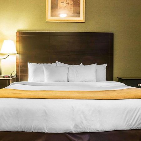Comfort Inn Whitehall Near Michigan'S Adventure Extérieur photo