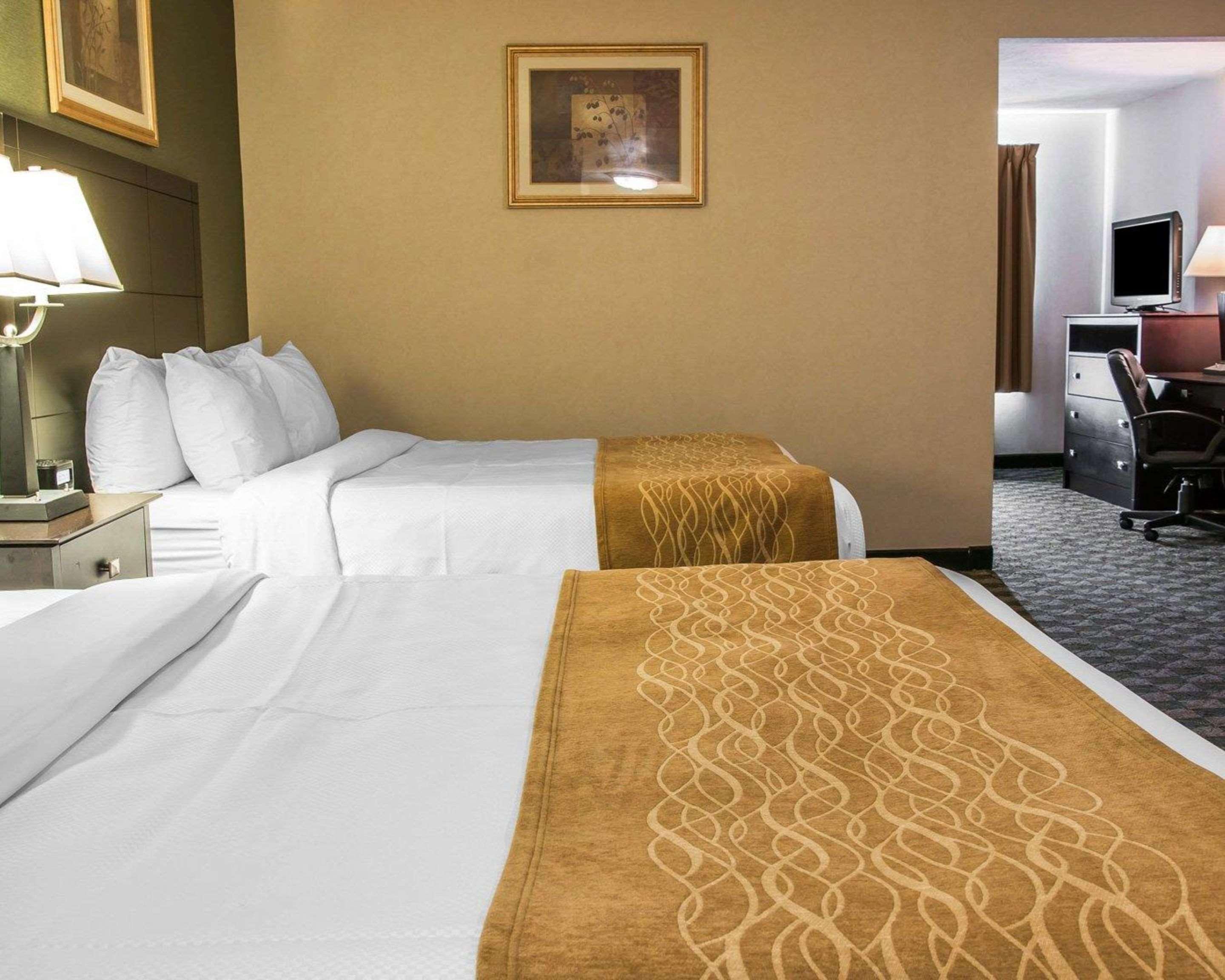 Comfort Inn Whitehall Near Michigan'S Adventure Extérieur photo