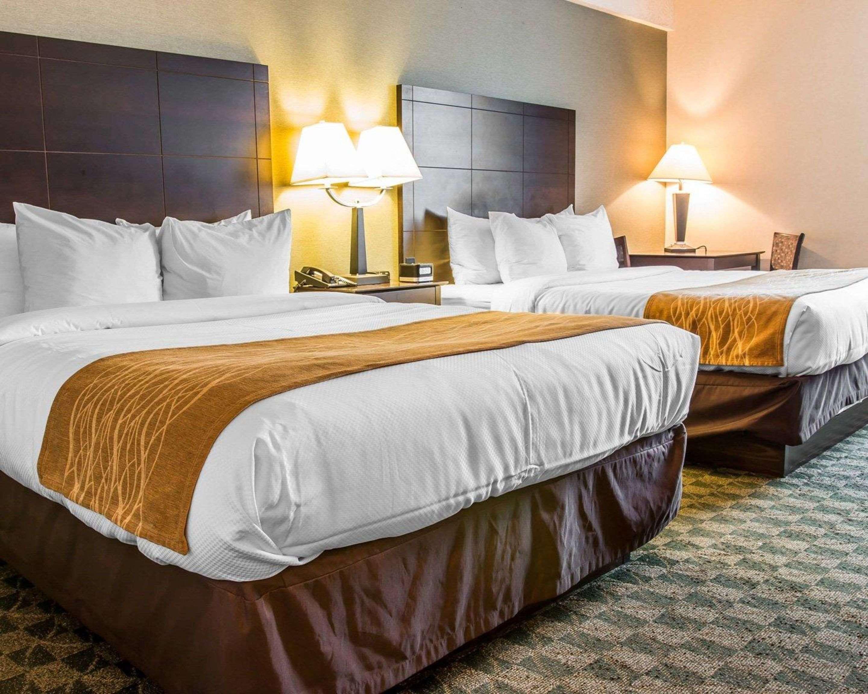 Comfort Inn Whitehall Near Michigan'S Adventure Extérieur photo