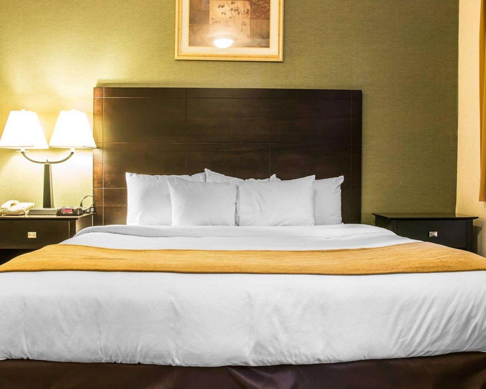 Comfort Inn Whitehall Near Michigan'S Adventure Extérieur photo